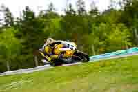 Brno;event-digital-images;motorbikes;no-limits;peter-wileman-photography;trackday;trackday-digital-images
